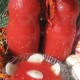 mleveni-paradajz985.jpg