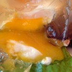 Recept za aspik