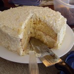 Posna ananas torta sa mlevenim keksom i pudingom